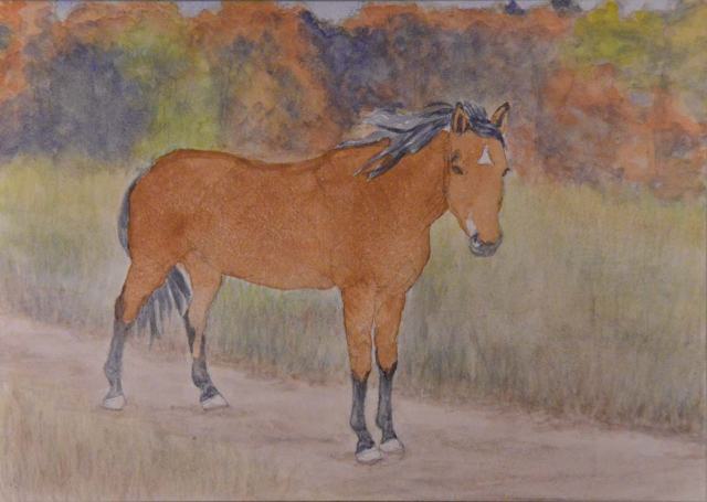 Here's the horse with just one juicy coat of watercolor on her.