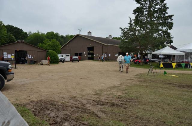 Main barn with indoor ring, and polo barn area on the showgrounds, complete with mud.